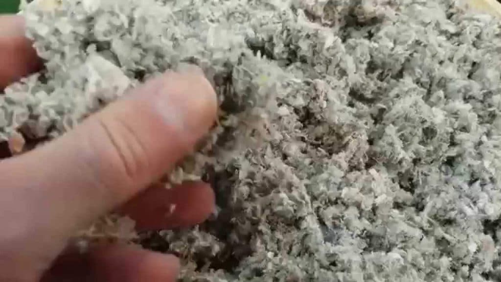 isoleren met cellulose